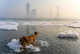 Environmental Photography Award 2025 (Bilingual Edition)