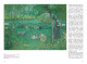 Bonnard, la nature comme étendard - La symphonie pastorale