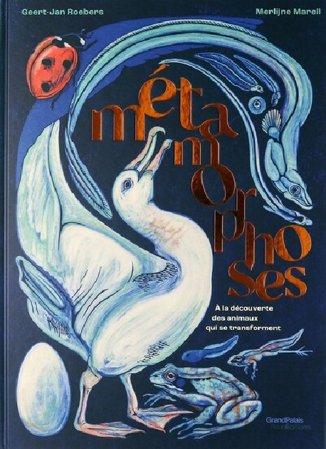 Métamorphoses - A la découverte des animaux qui se transforment