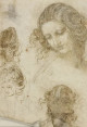 Léonard de Vinci, le génie en dessin - Royal Collection