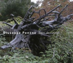 Giuseppe penone, l'arbre des voyelles