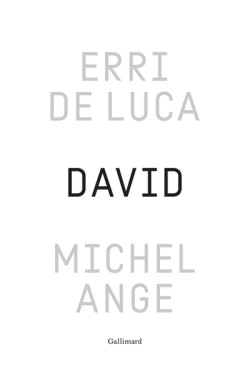 David, Michel-Ange - Enquête sur une disproportion