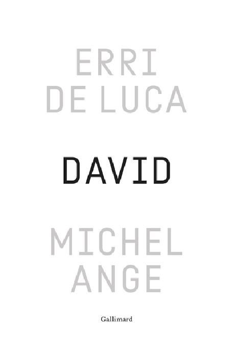 David, Michel-Ange - Enquête sur une disproportion