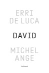 David, Michel-Ange - Enquête sur une disproportion