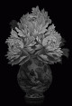 Roses & pivoines - Pierre-Joseph Redouté, Thilo Westermann