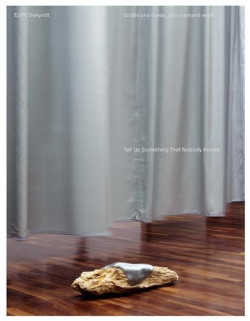 Edith Dekyndt - Tell us something that nobody knows