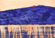 Marine Wallon - Paintings