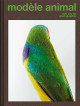 Modèle animal - 200 ans de photographie