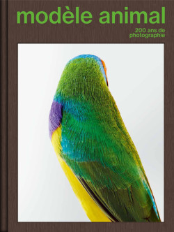 Modèle animal - 200 ans de photographie