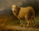 Réalisme animal