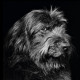 57e Rencontres de la photographie - Arles