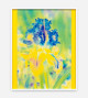 57e Rencontres de la photographie - Arles