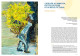 Bonnard - L’Atelier au mimosa