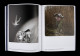 Photographies