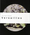 Echo à Versailles de Philippe Cognée