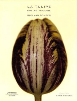 Tulipes, une anthologie