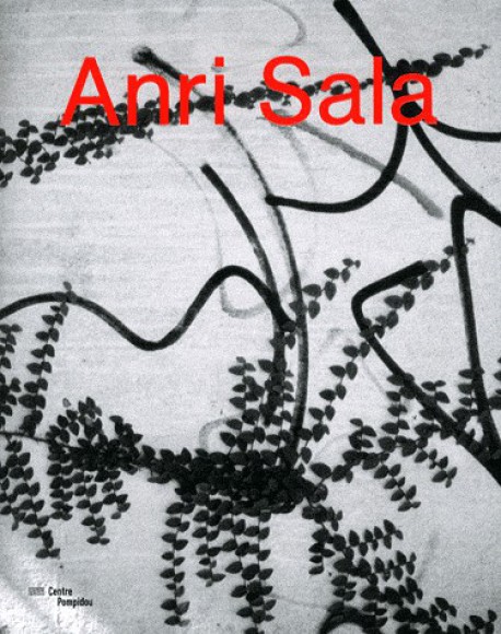 Anri Sala