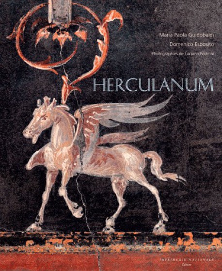Livre d'art Herculanum