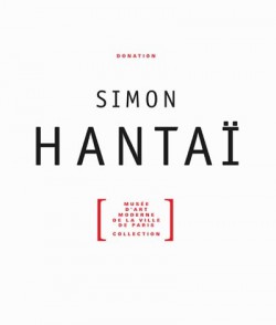 Le catalogue Simon Hantaï