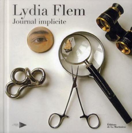 Lydia Flem journal implicite