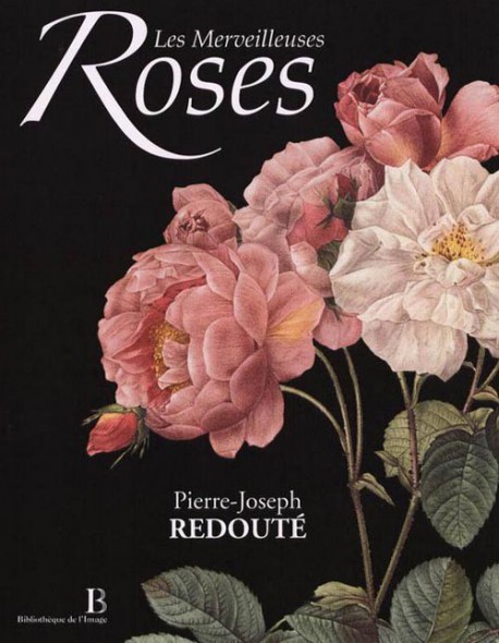 Pierre-Joseph Redouté, les merveilleuses roses