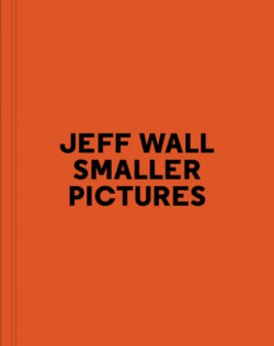 Jeff Wall, Smaller Pictures