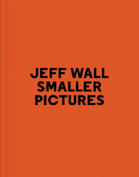 Jeff Wall, Smaller Pictures