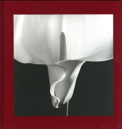 Flora, les fleurs de Mapplethorpe