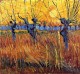 Van Gogh in Provence, modernizing tradition