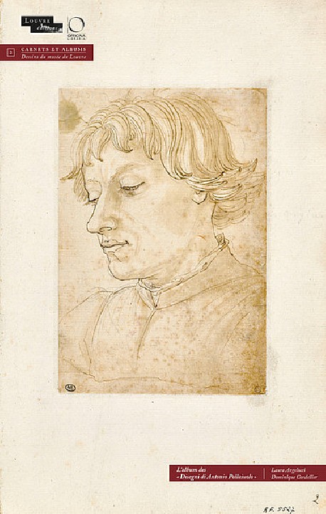 L'album des Disegni di Antonio Pallaiuolo 