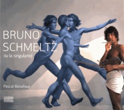 Bruno Schmeltz ou la singularité
