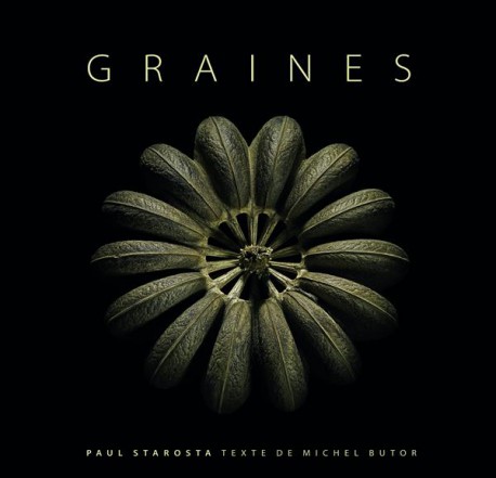 Graines. Photographies de Paul Starosta