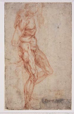 Michelangelo Buonarroti, dit Michel-Ange ( 1475 - 1564)